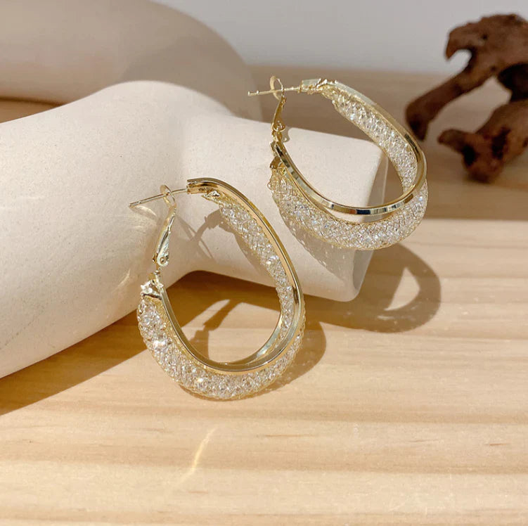 Fashion Oval Earrings