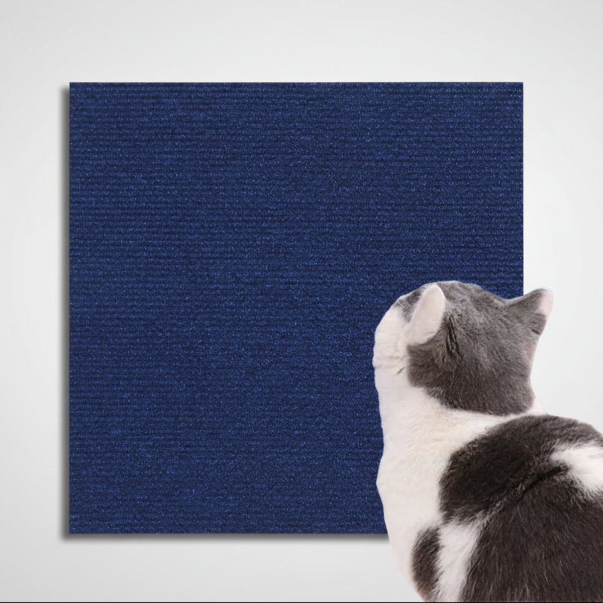 Cat Scratch Protector Furniture Guard Tape