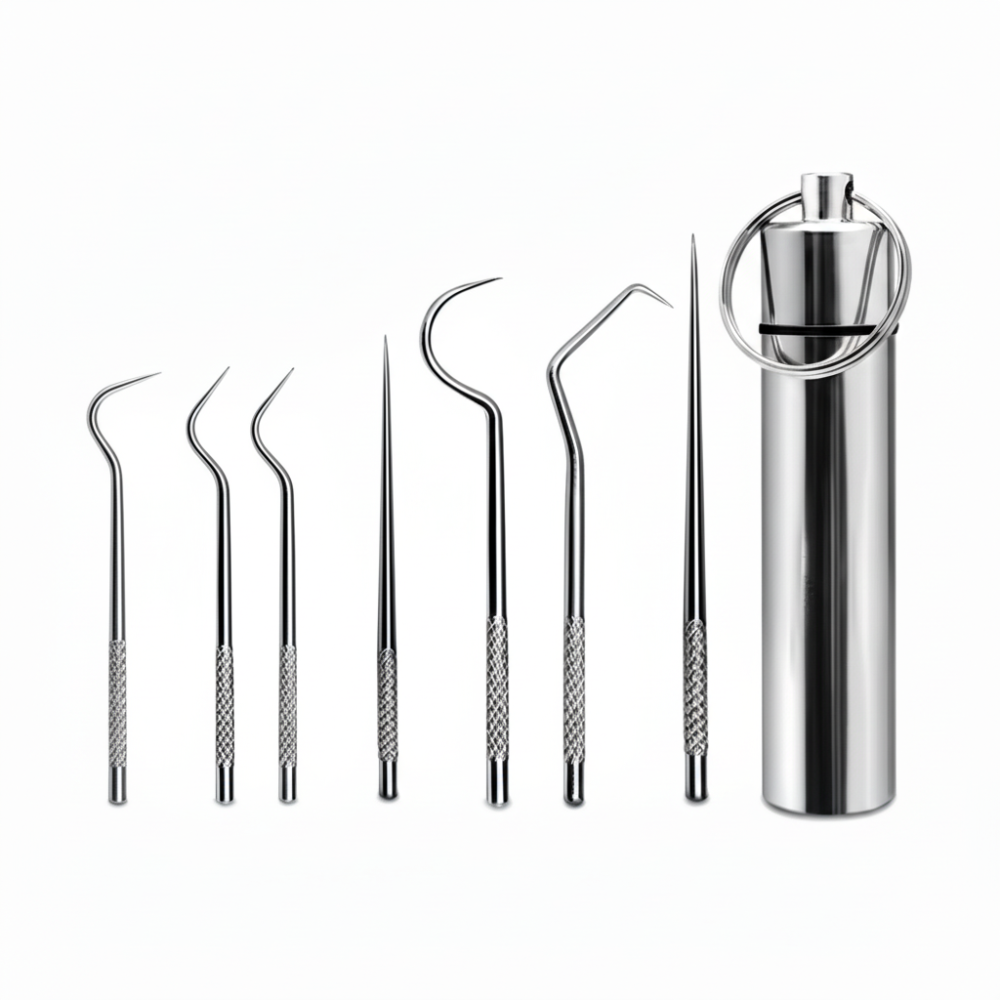 Stainless Steel Toothpicks Oral Hygiene Set