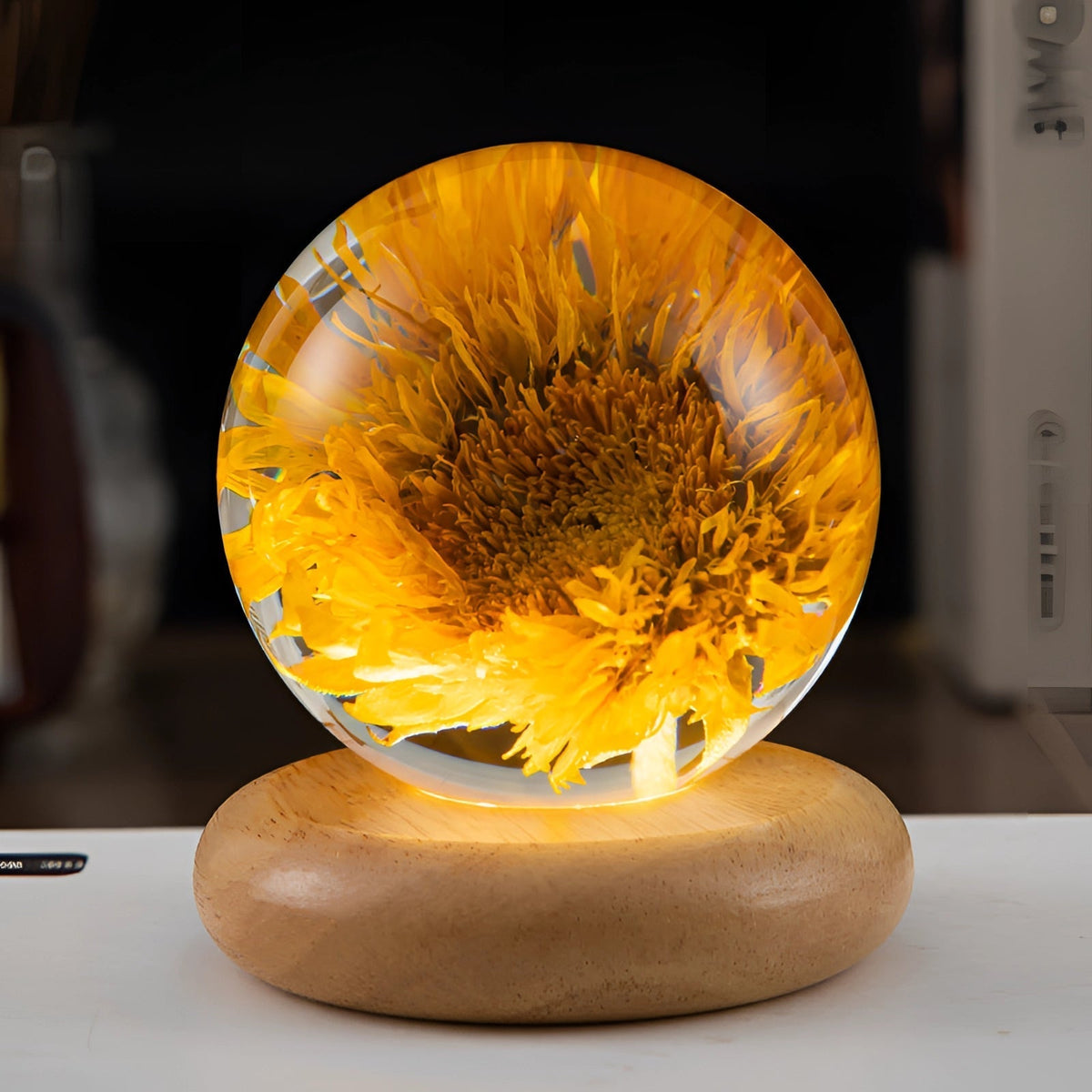 Dandelion Resin Lamp with LED Wooden Base - Unique Botanical Night Light