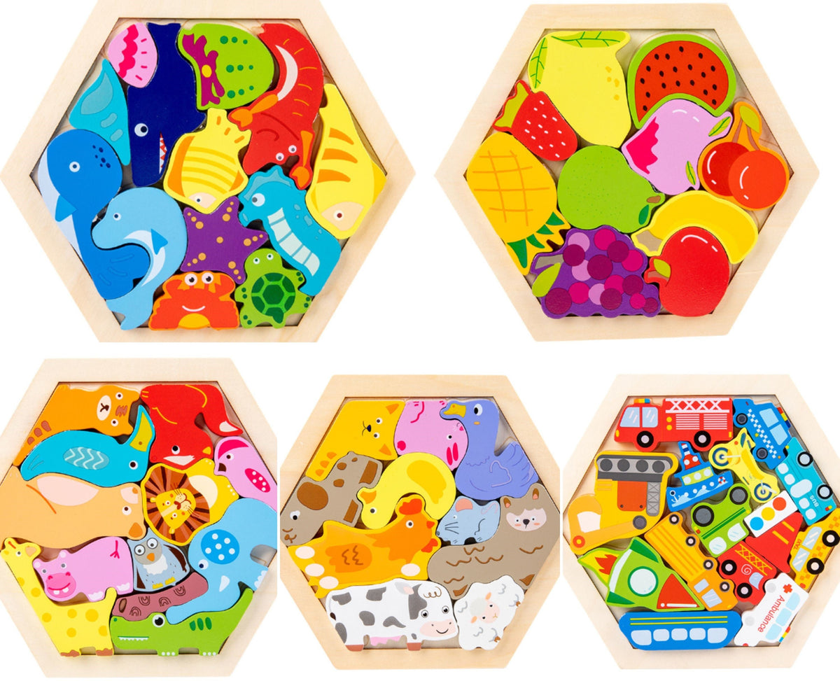 Montessori 3D Wooden Puzzle