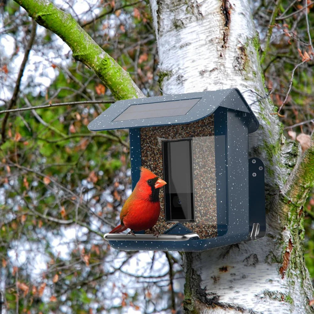 BIRDLYNX – App-Controlled Smart Bird Feeder with Integrated Camera System