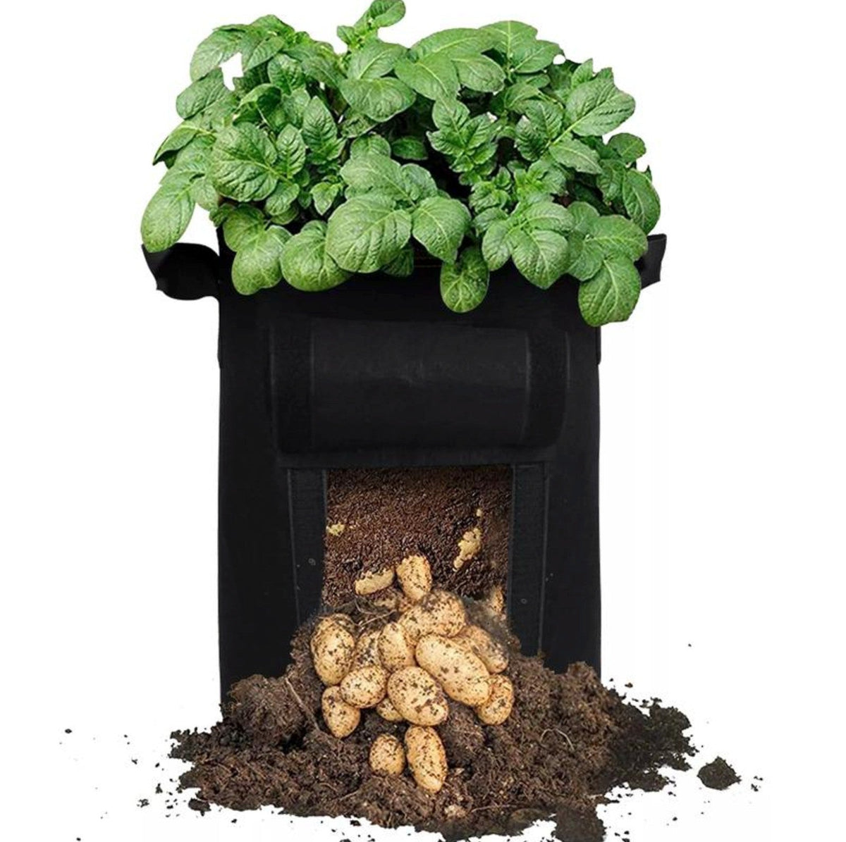Avichic® Felt Potato Growth Bags