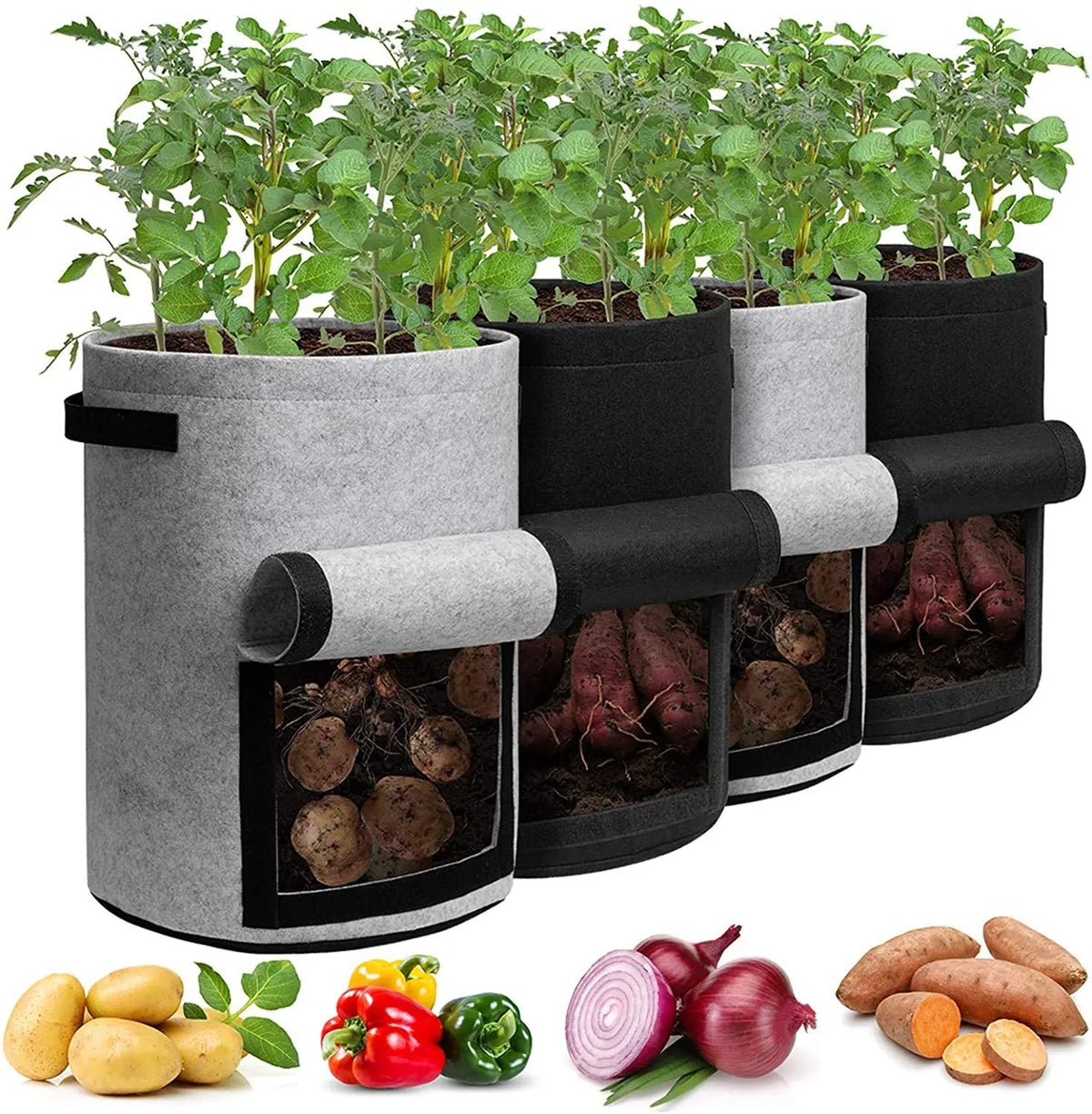 Avichic® Felt Potato Growth Bags