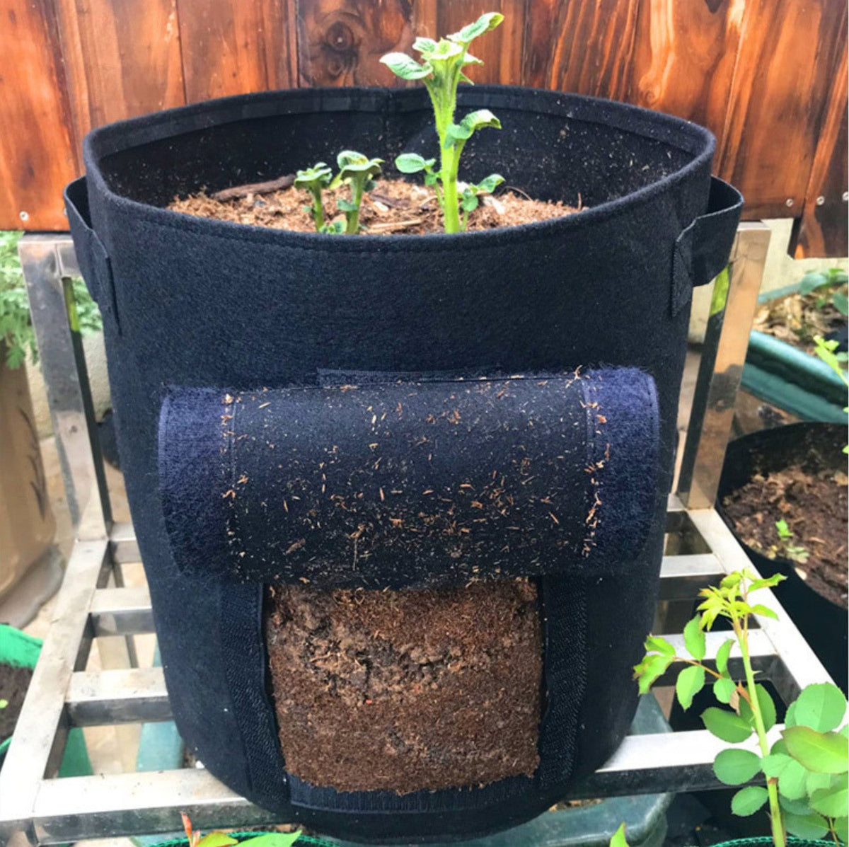 Avichic® Felt Potato Growth Bags