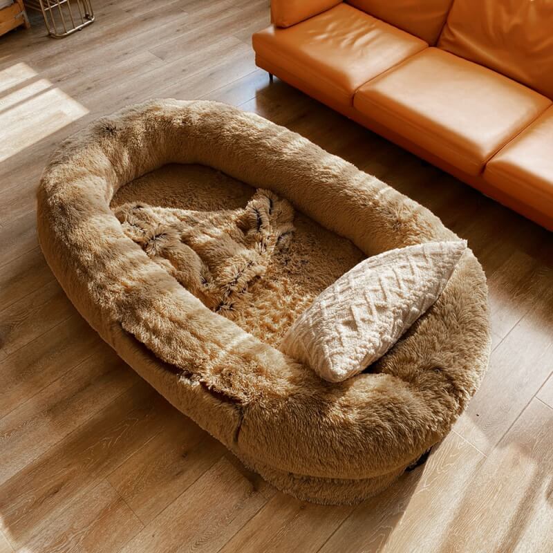 Adult Dog Beds for Humans