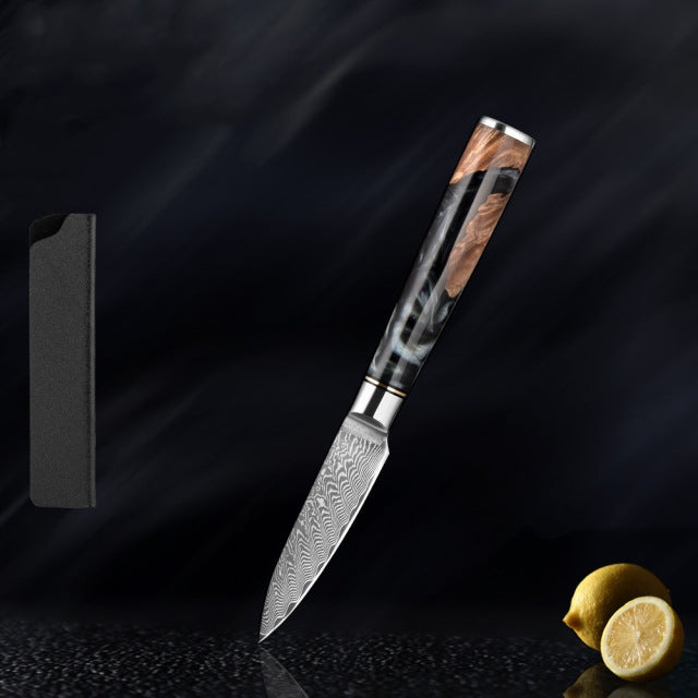 SAKUTO (作東) Japanese Damascus Steel Kitchen Knife Set With Coloured Black Handle