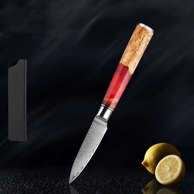 SAKUTO (作東) Japanese Damascus Steel Kitchen Knife Set With Coloured Red Handle