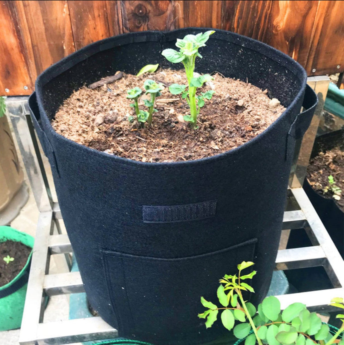 Avichic® Felt Potato Growth Bags