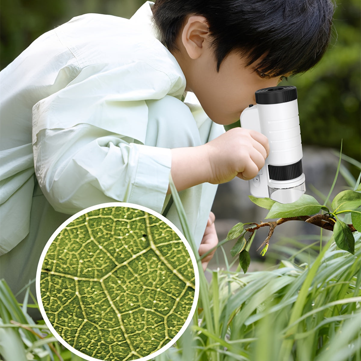 Mini Microscope with LED Light for Kids