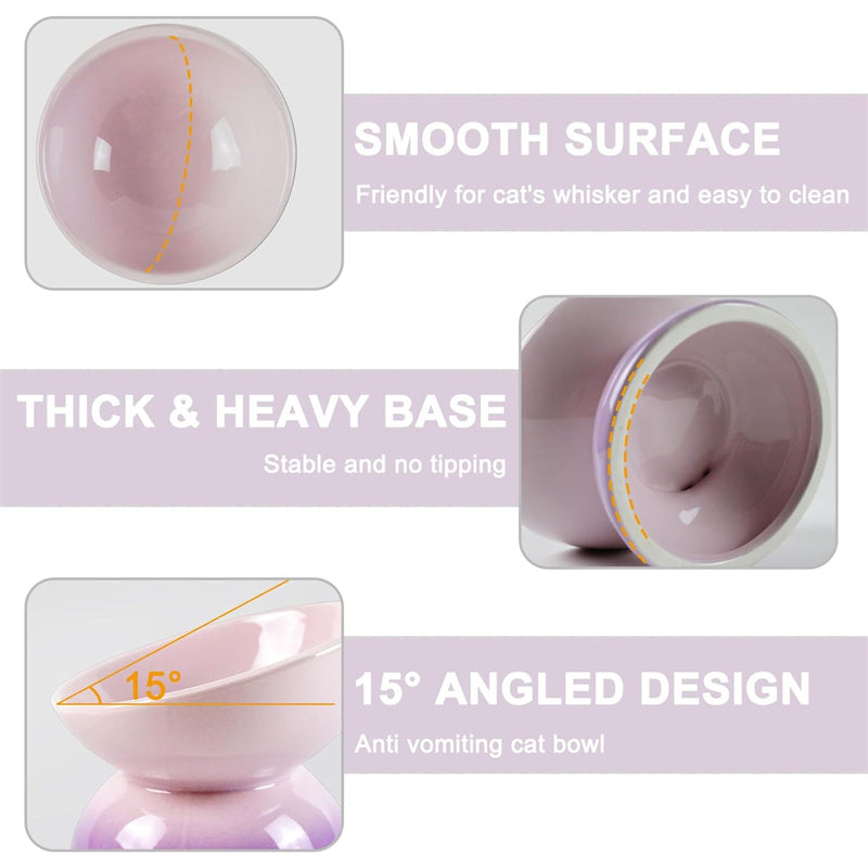 Gradient Color Ceramic Raised Cat Bowls