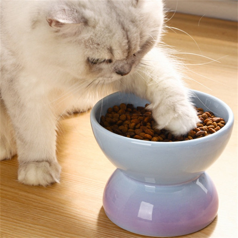 Gradient Color Ceramic Raised Cat Bowls