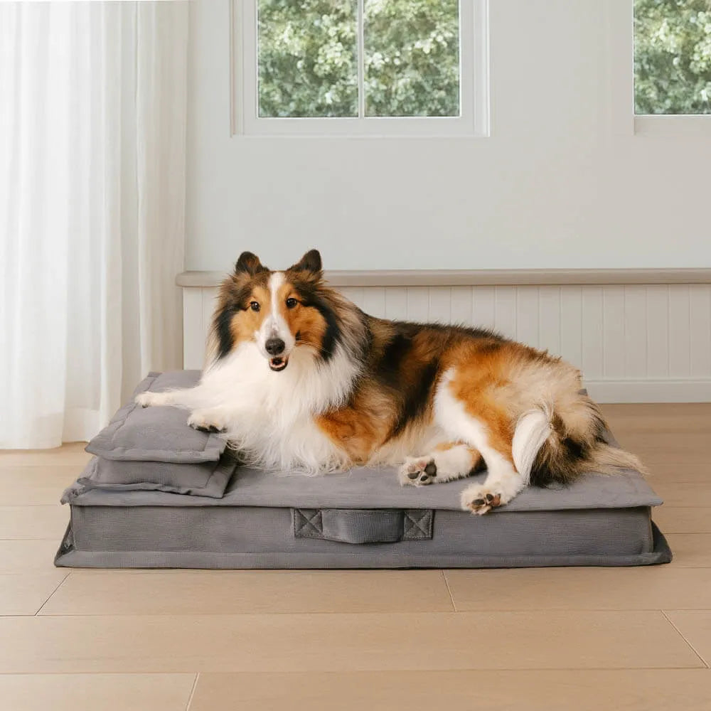 Anti-Anxiety Deep Sleeping Dog Bed with Sponge Support