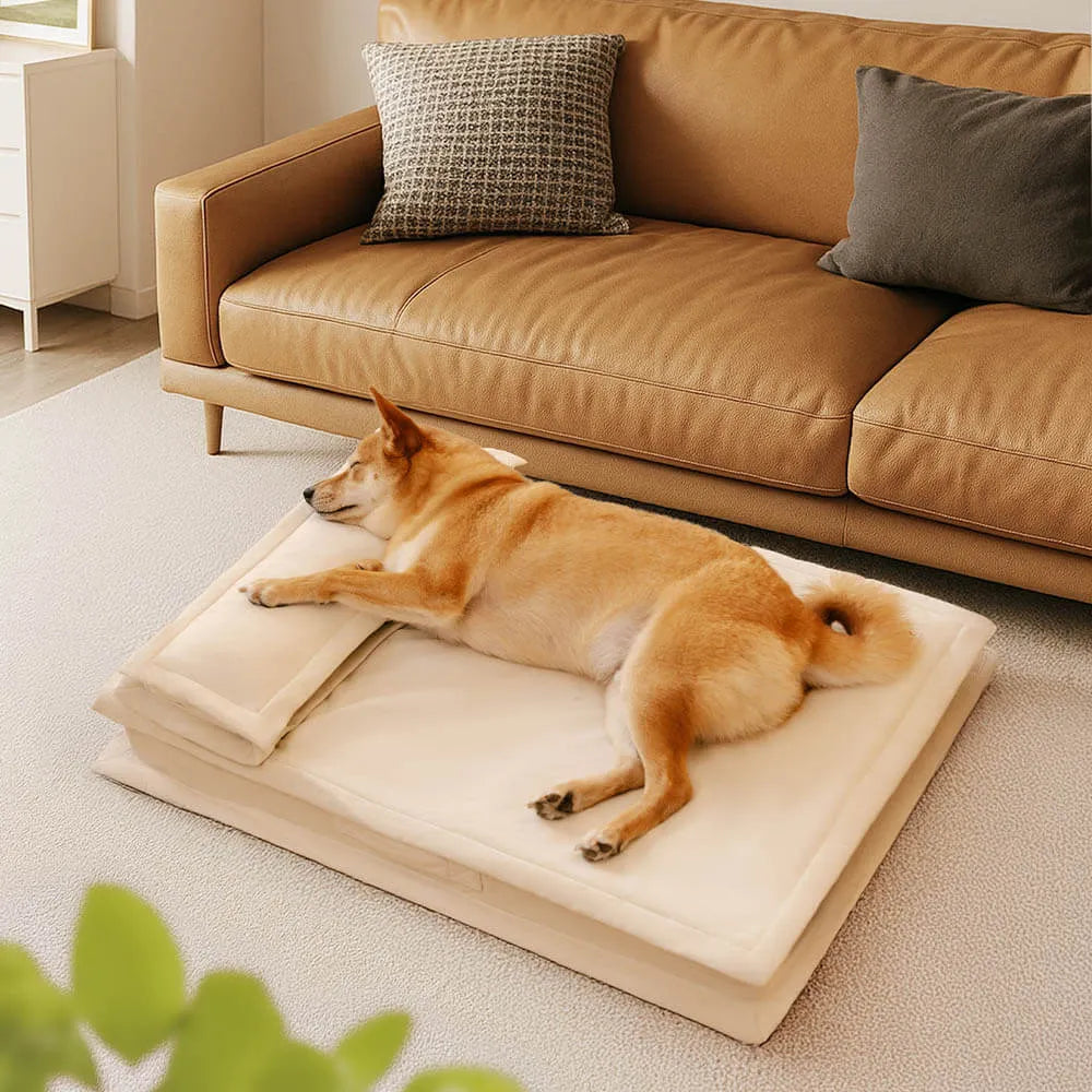Anti-Anxiety Deep Sleeping Dog Bed with Sponge Support