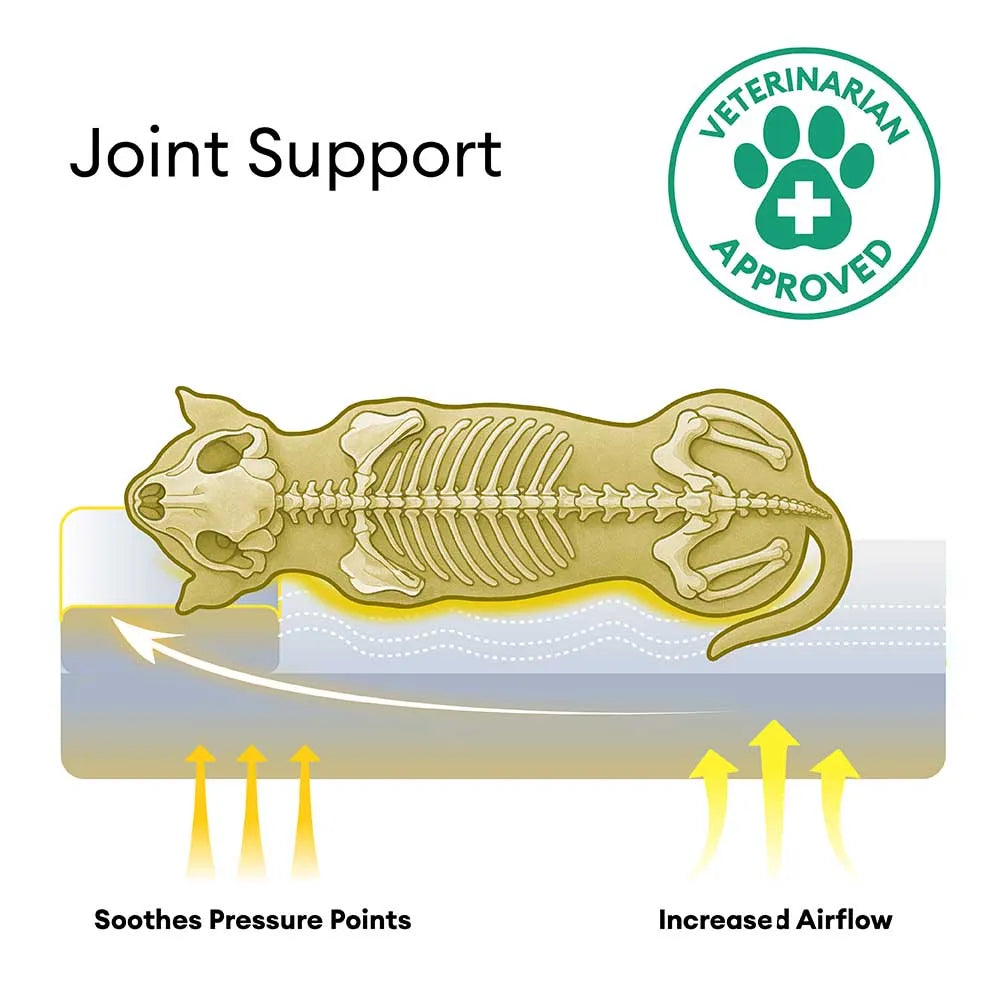 Anti-Anxiety Deep Sleeping Dog Bed with Sponge Support