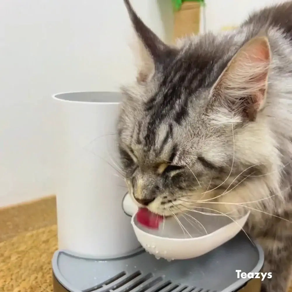 AQUA BOT The First Filterless Cat Water Fountain | Fresh Water Every Time