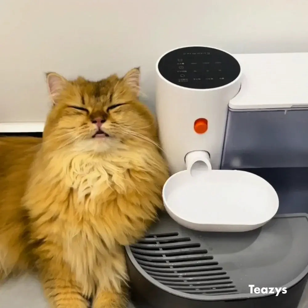 AQUA BOT The First Filterless Cat Water Fountain | Fresh Water Every Time
