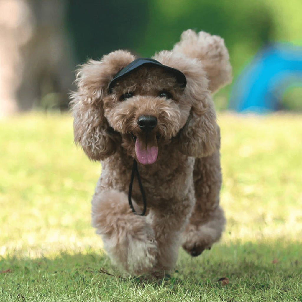 Dog Hat Sun Visor Adjustable Pet Cap
