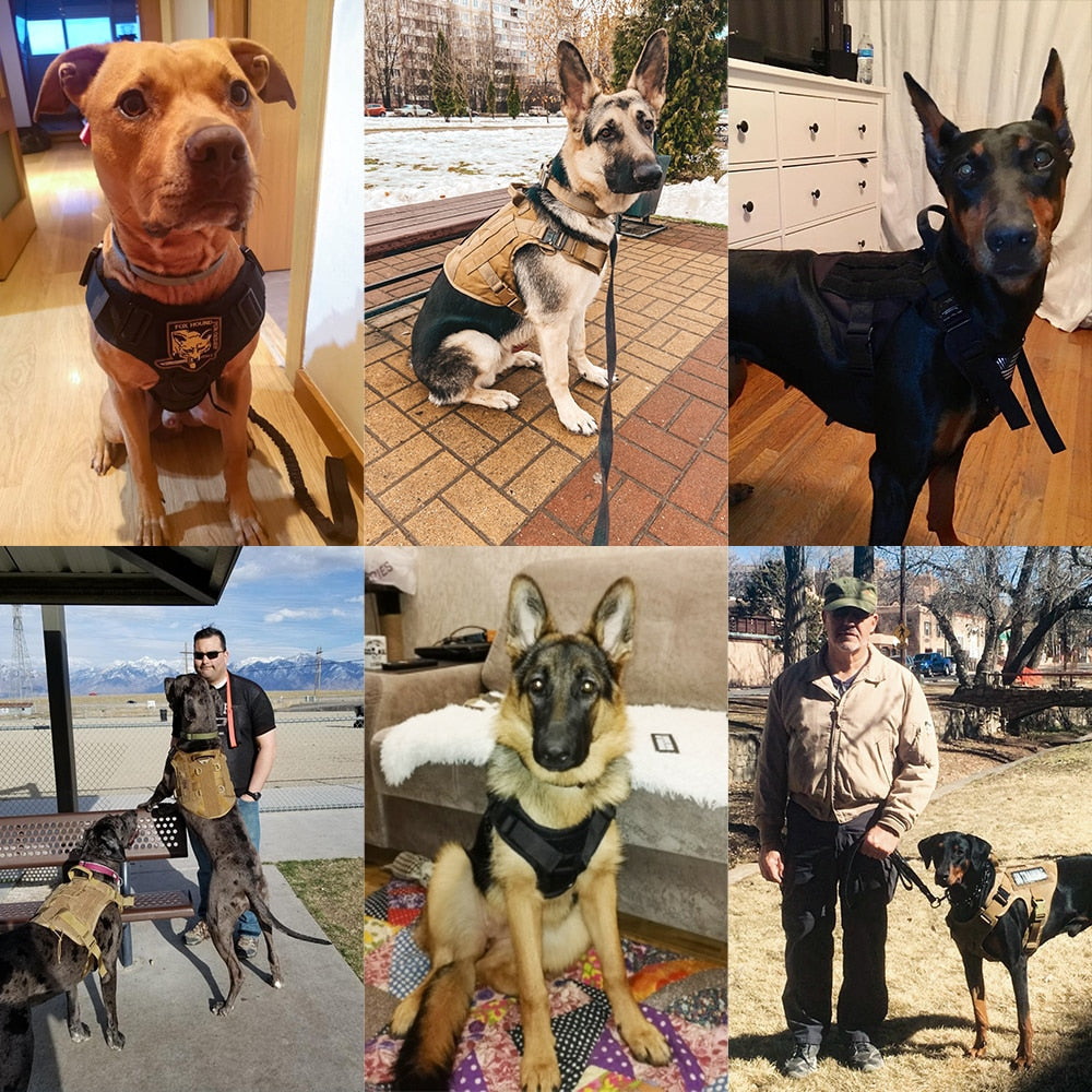 Tactical Harness
