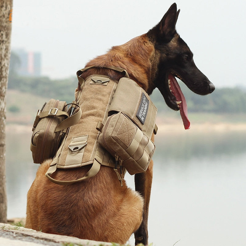 Tactical Harness
