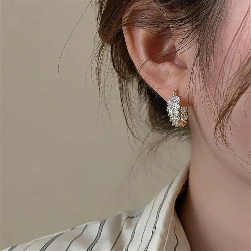Hoop Earrings