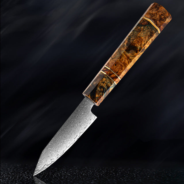 SAKUTO (久拓) Japanese Damascus Steel Kitchen Knife With Coloured Octagonal Handle