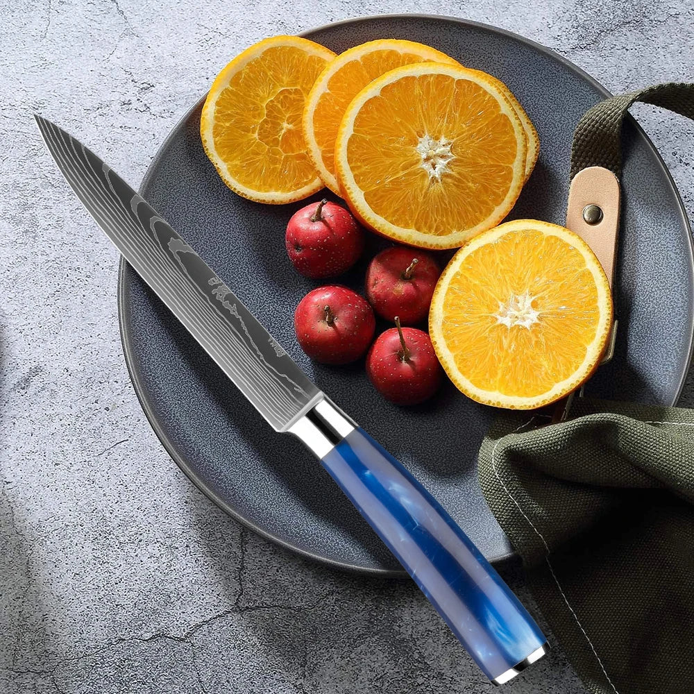 Shinano  信濃川 Damascus Pattern Stainless Steel Knife Set