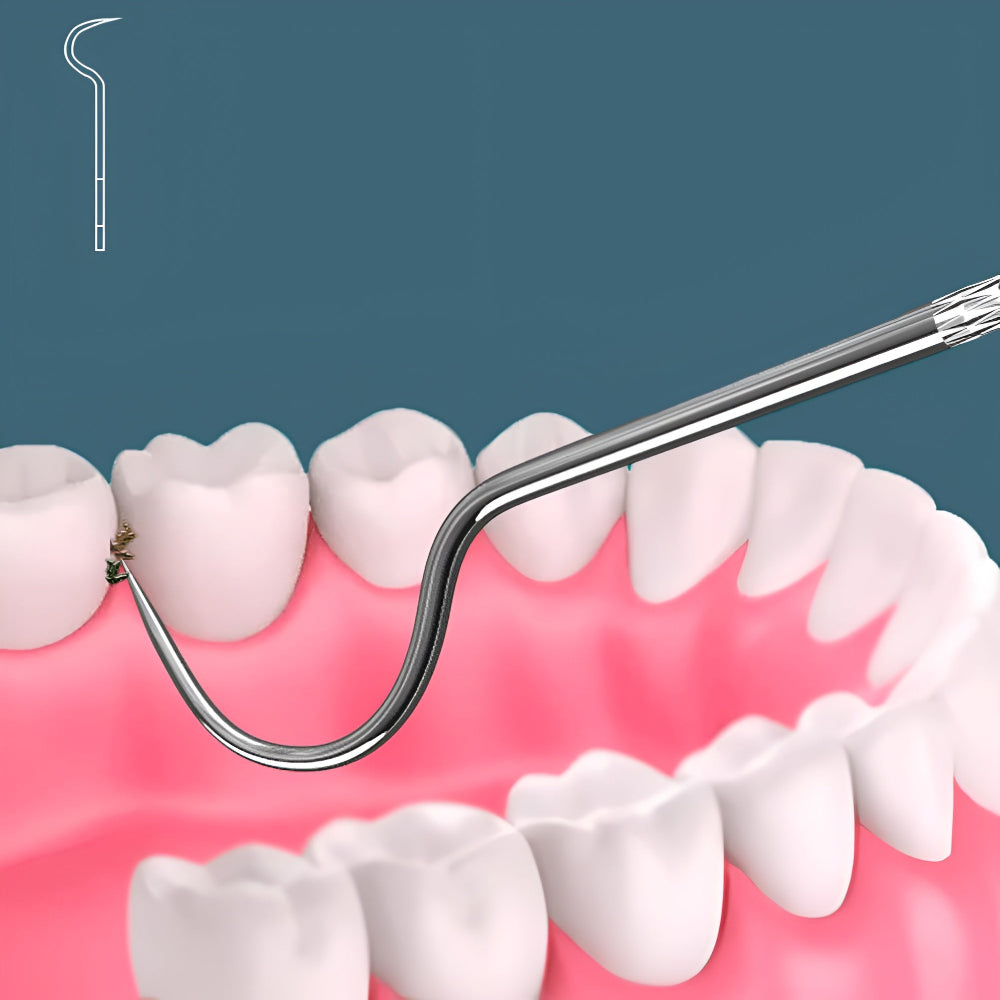 Stainless Steel Toothpicks Oral Hygiene Set