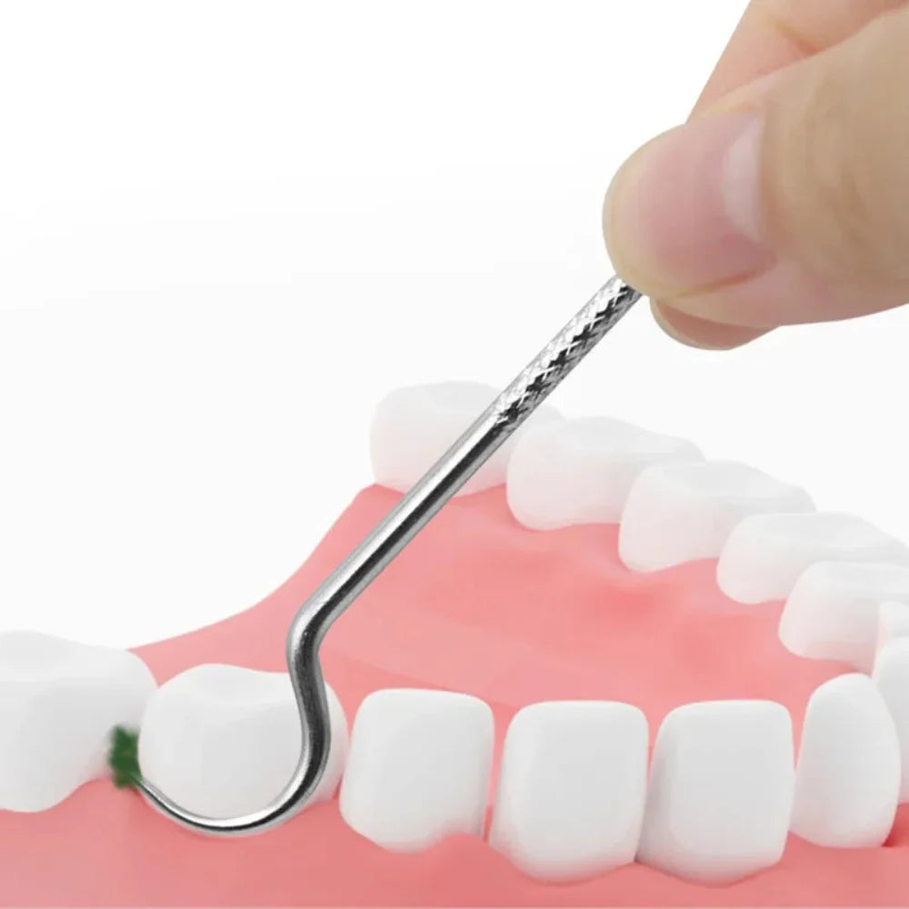 Stainless Steel Toothpicks Oral Hygiene Set