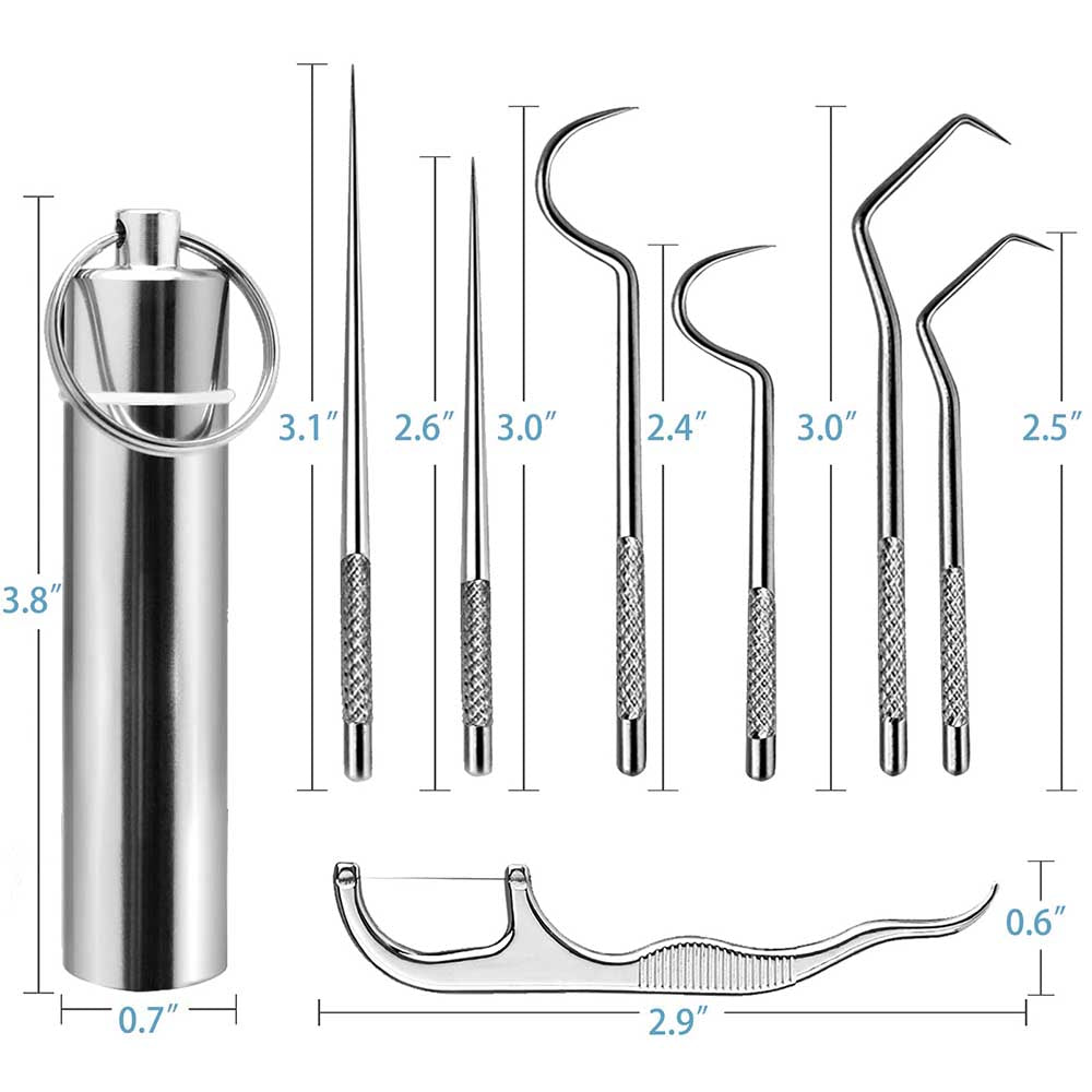 Stainless Steel Toothpicks Oral Hygiene Set