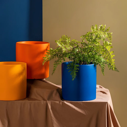 Colorful Ceramic Planters: Vibrant Indoor Pots for Modern Decor