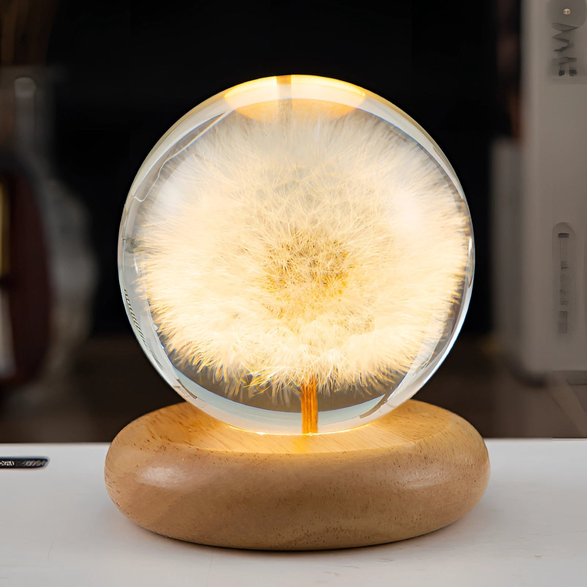 Dandelion Resin Lamp with LED Wooden Base - Unique Botanical Night Light