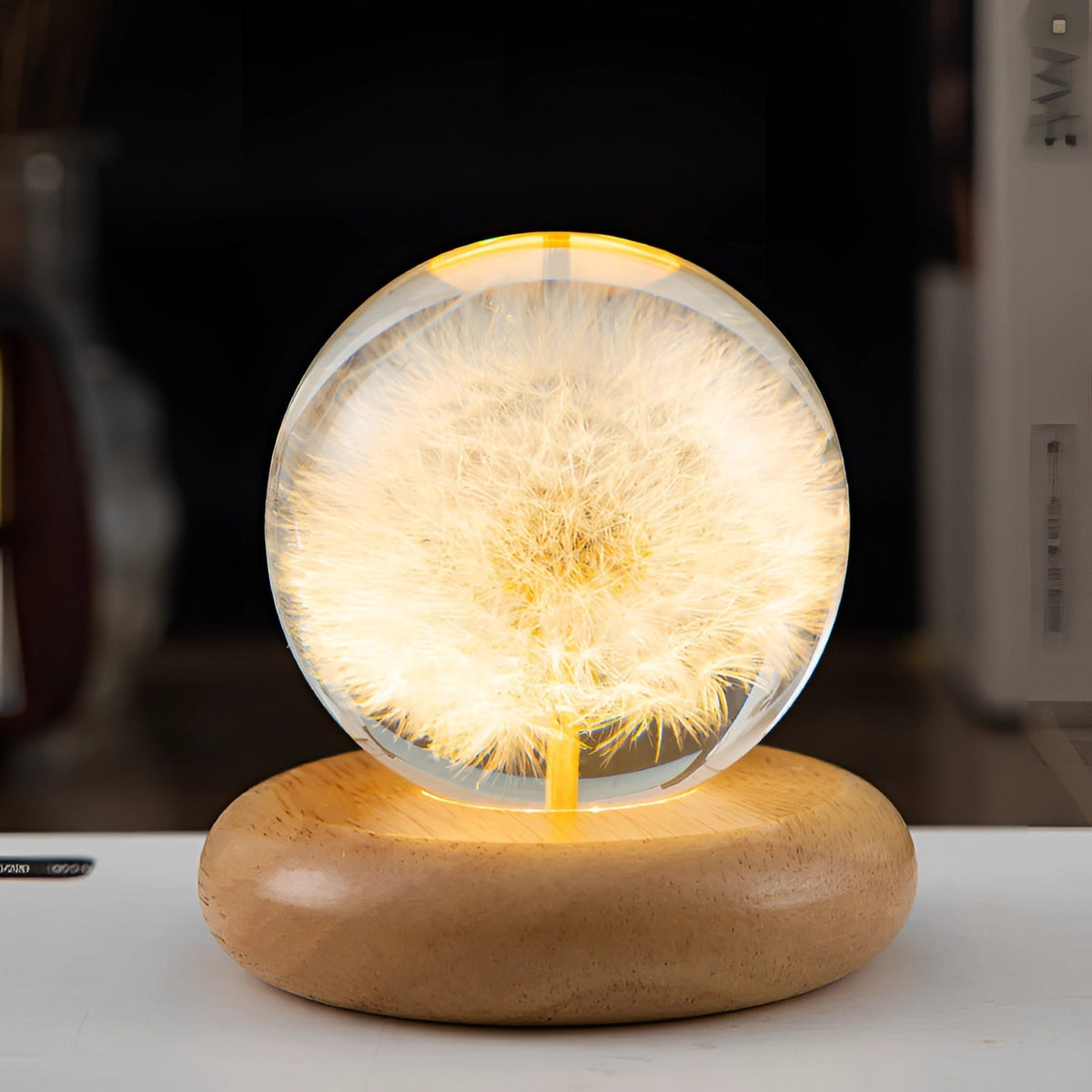 Dandelion Resin Lamp with LED Wooden Base - Unique Botanical Night Light