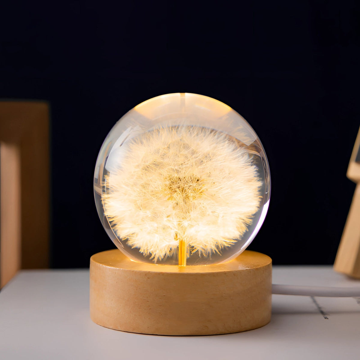 Dandelion Resin Lamp with LED Wooden Base - Unique Botanical Night Light