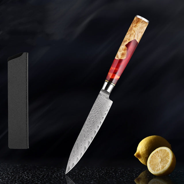 SAKUTO (作東) Japanese Damascus Steel Kitchen Knife Set With Coloured Red Handle