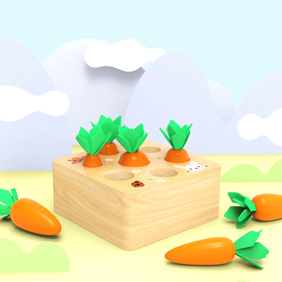 Best Seller: Carrots Harvest Box