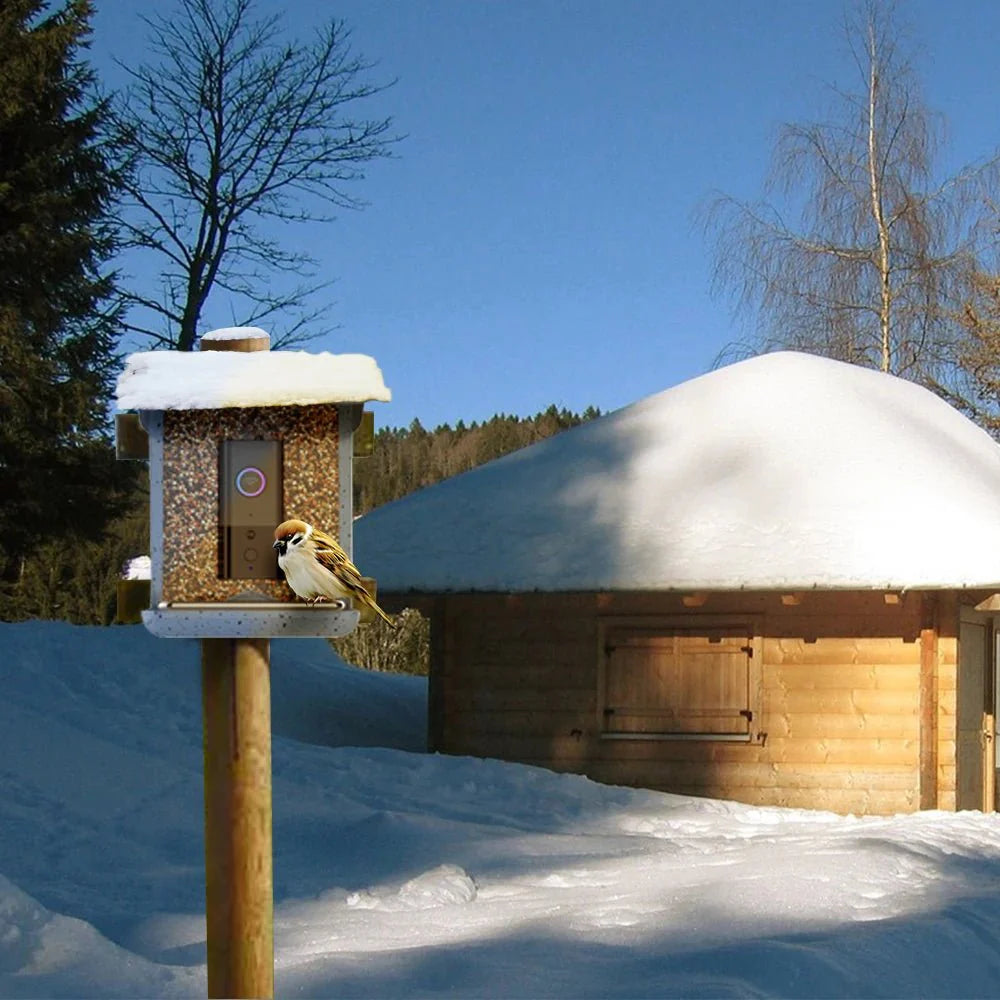 BIRDLYNX – App-Controlled Smart Bird Feeder with Integrated Camera System