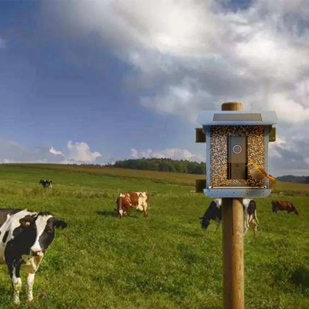 BIRDLYNX – App-Controlled Smart Bird Feeder with Integrated Camera System