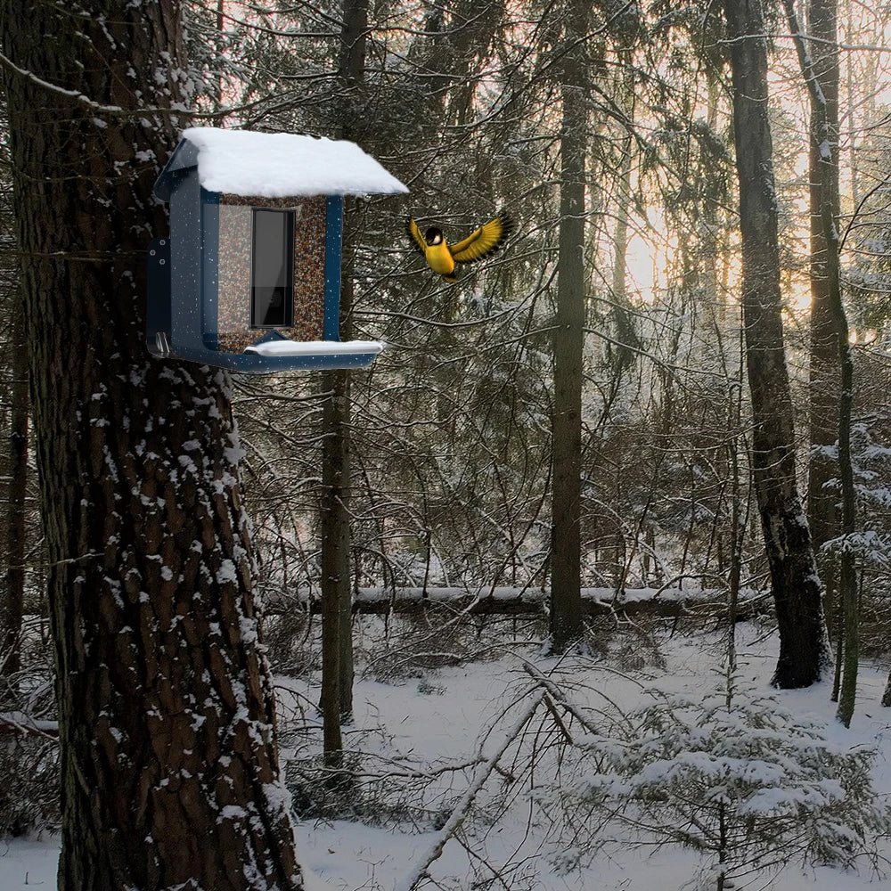 BIRDLYNX – App-Controlled Smart Bird Feeder with Integrated Camera System