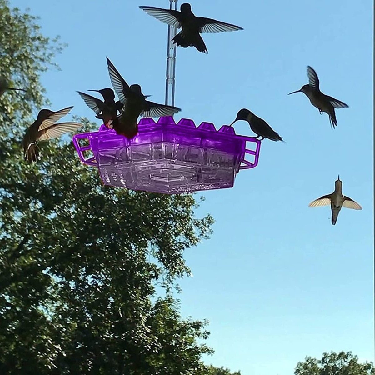 BLOOMBIRD - 30-Port Hummingbird Feeder with Anti-Ant Technology & Simple Filling