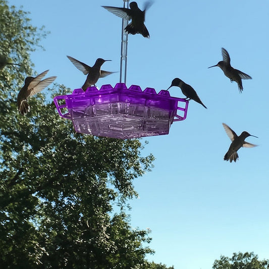 BLOOMBIRD - 30-Port Hummingbird Feeder with Anti-Ant Technology & Simple Filling