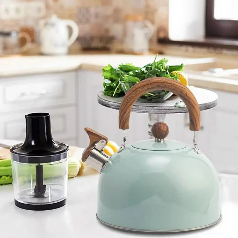 BOILVIA – 3L Whistling Stainless Kettle with Comfort Grip Handle