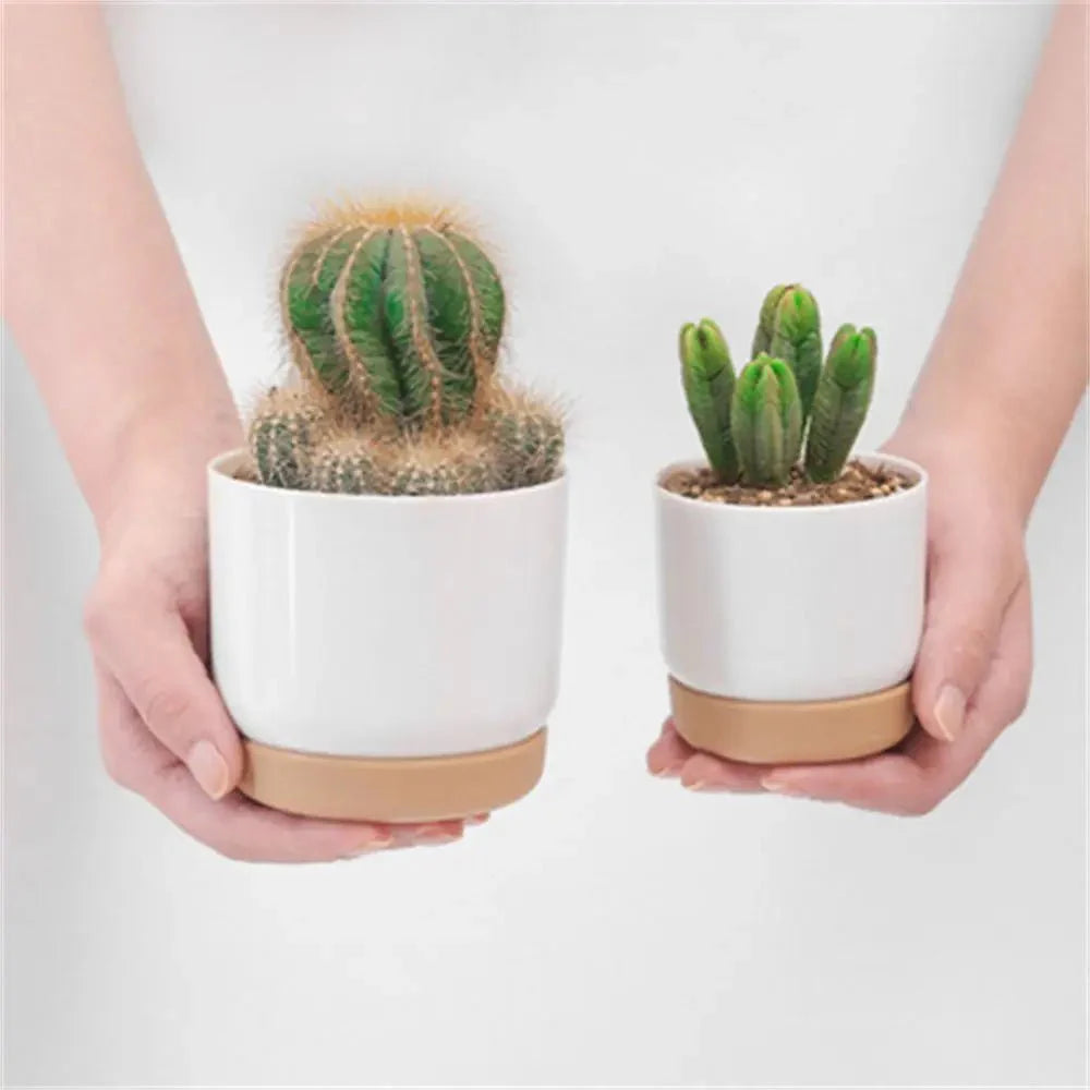 BOTANICAIR – Smart Self-Watering Flower Pot for Indoor & Office Plants