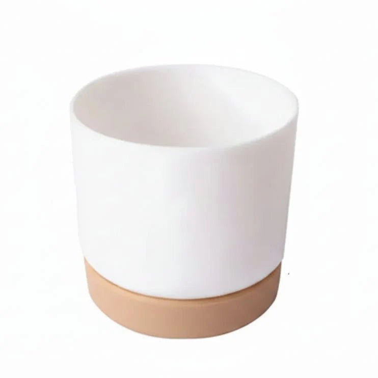 BOTANICAIR – Smart Self-Watering Flower Pot for Indoor & Office Plants