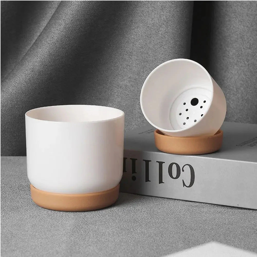 BOTANICAIR – Smart Self-Watering Flower Pot for Indoor & Office Plants