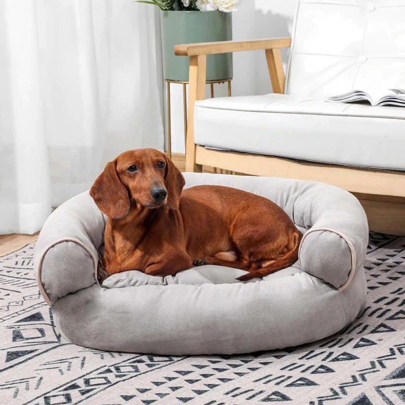CANIREST – Orthopedic Dog Sofa Bed with Comfort Padding for Senior Joint Care
