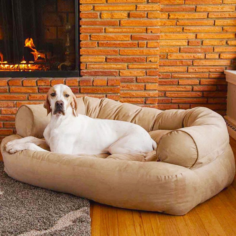 CANIREST – Orthopedic Dog Sofa Bed with Comfort Padding for Senior Joint Care