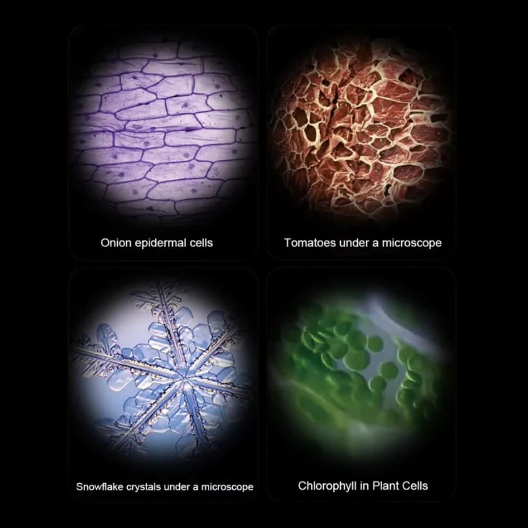 CURIOUS MIND SCIENCE SCOPE – Montessori-Inspired Kids Microscope for Exploration & STEM Learning
