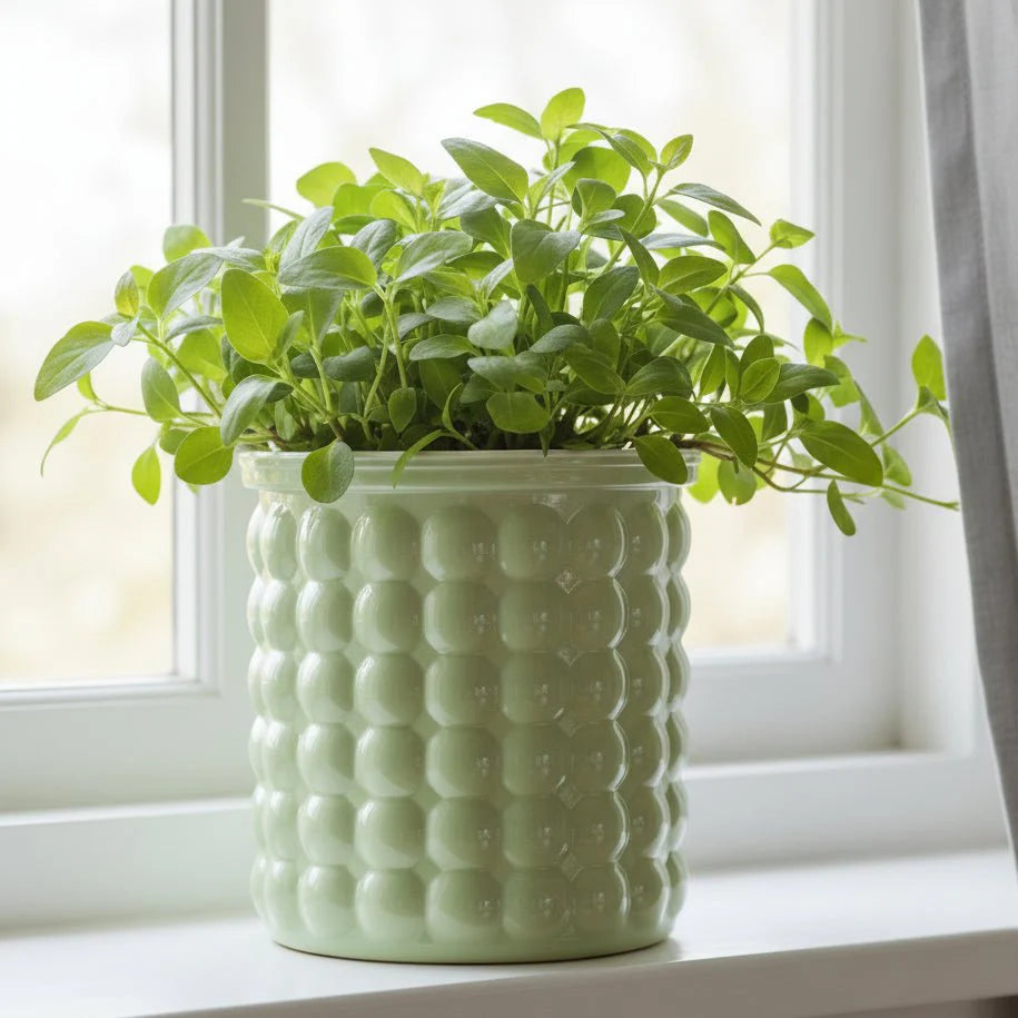 ECOBLOOM – Eco-Friendly Self-Watering Hydroponic Flower Pot for Modern Home Decor