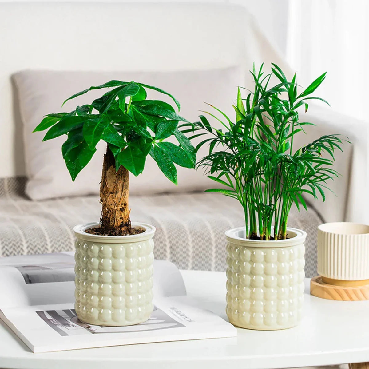 ECOBLOOM – Eco-Friendly Self-Watering Hydroponic Flower Pot for Modern Home Decor